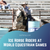 Ice Horse Riders at  World Equestrian Games
